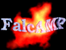Image of FalcAmp