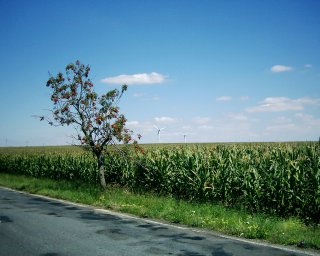 Poas se dnes povedlo. A hlavn nefouk ten stran protivtr jako vera.