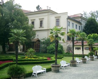 Idyla s palmami.
