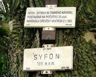 To s tvrdym nebo s mkym? ...Dycinky s tvrdym!