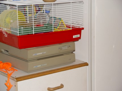 [Photo: Mega ST under hamster cage]