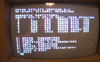 [Screen-shot: Fdisk parameters]