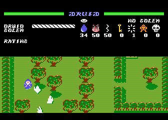 [Screen-shot: Druid on XL/XE]