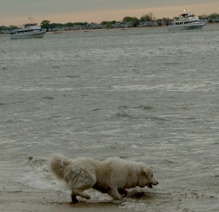 [Photo: Detail with boats visible]