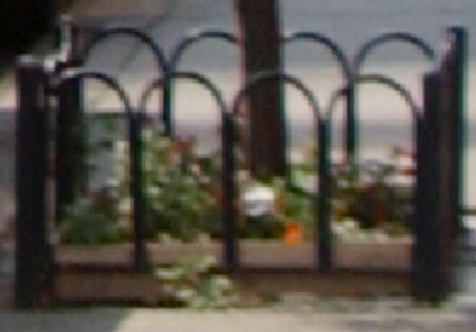 [Photo: Nikon detail]