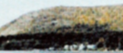 [Detail: Calamus rastered output]