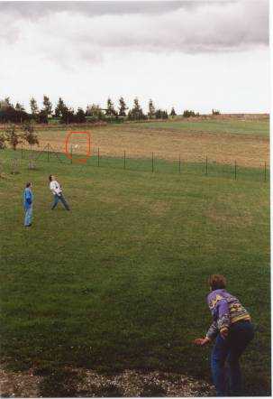 Spot the Hard drive photo 1