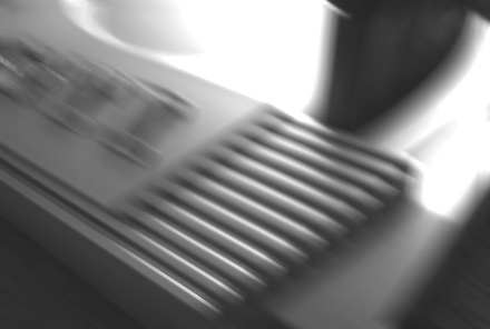 [Photo: Jaguar gallery 3]