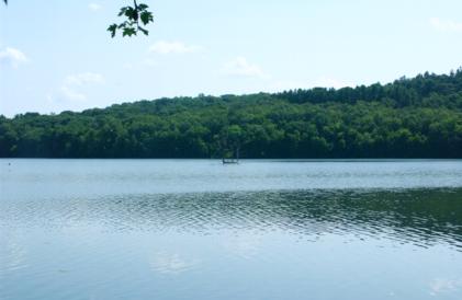 [Photo: Cormorant island at 50 mm]