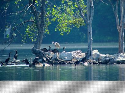 [Photo: After processing]