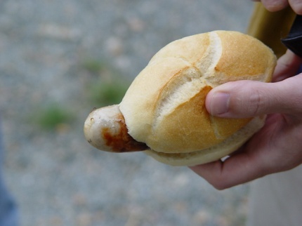 [Photo: Sausage in a bun]