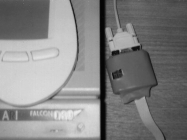 Image of Mouse BurSTer