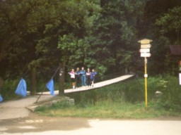 P�ijeli jsme sem z lesa a po t�to l�vce.