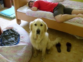 Jestli ho vzbud�, tak t� kousnu! ;-)