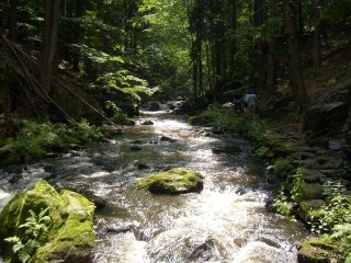 Tady by se jelo s kolama fakt blb�.