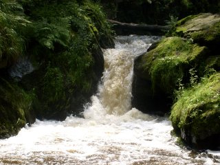 Ani Pavel si tu nechce zaplavat? ;-)