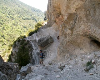 Kdo se boj�, nesm� do lesa ... a ani do ka�onu.