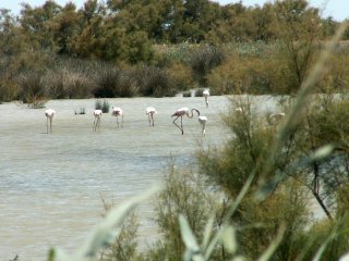 Ok, m��eme si od�krtnout i plame��ky. :-)