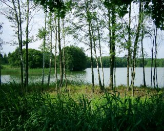 Um�leck� fot�.