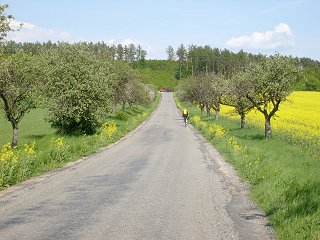 Kv�ty �epky �lut� z���, dnes se cyklistice da��. :-)